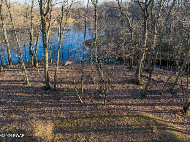 150 N Lake Dr, Dingmans Ferry, PA 18328 - water view
