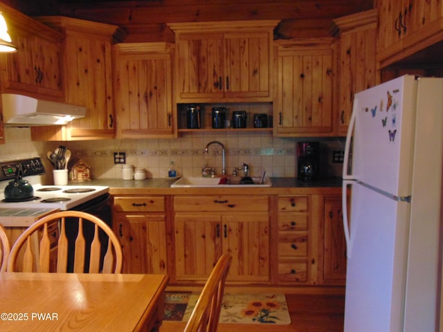 105 Leonard Ln, Paupack, PA 18451 - kitchen featuring freestanding refrigerator, range with electric stovetop, a sink, under cabinet range hood, and tasteful backsplash