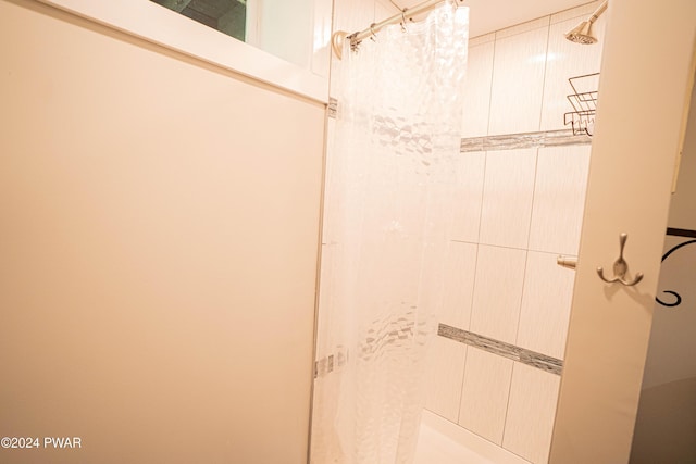 bathroom featuring a shower with curtain