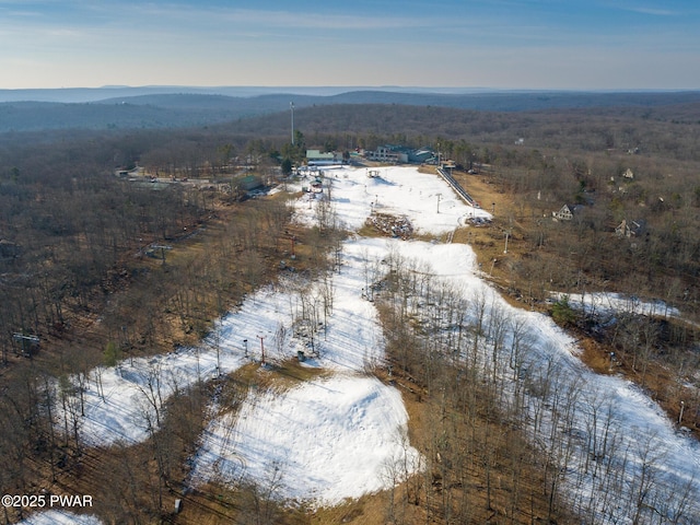 birds eye view of property featuring a mountain view