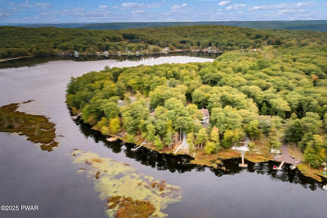 bird's eye view featuring a wooded view and a water view