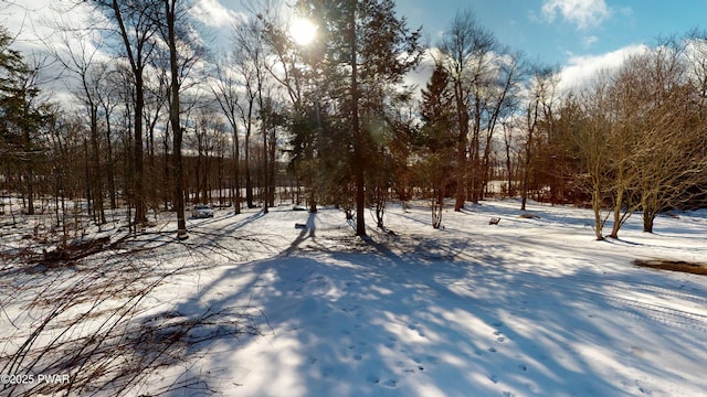 view of yard covered in snow