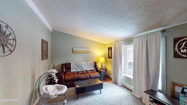 living area featuring ornamental molding, lofted ceiling, carpet floors, and a textured ceiling