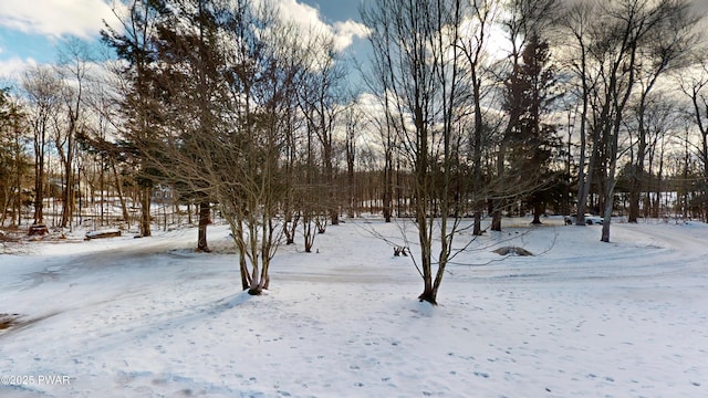 view of snowy yard