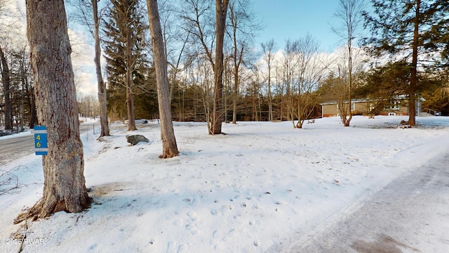 view of snowy yard