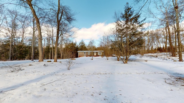 view of yard layered in snow