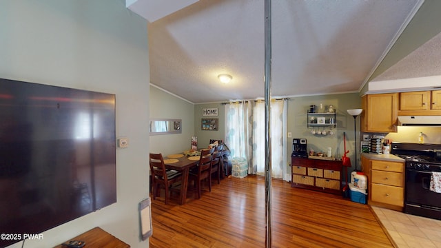 interior space with lofted ceiling, ornamental molding, a textured ceiling, and light wood-style flooring