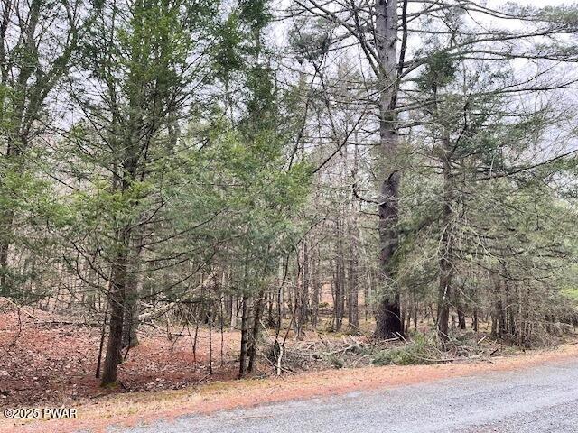 Covered Bridge Dr, Hawley, PA 18428