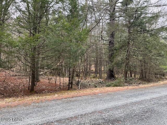 Covered Bridge Dr, Hawley, PA 18428