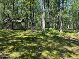 195 Conashaugh Trl, Milford, PA 18337 - view of grassy yard