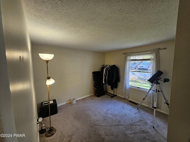 misc room with carpet floors and a textured ceiling