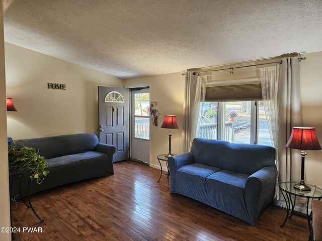 living room featuring a textured ceiling, plenty of natural light, and dark wood-type flooring