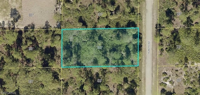 1313 Palmetto Ave, Lehigh Acres FL, 33972 land for sale