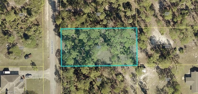 1618 Magnolia Ave, Lehigh Acres FL, 33972 land for sale