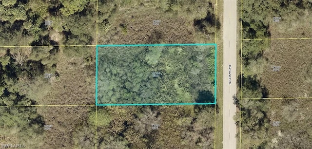 1417 Williams Ave, Lehigh Acres FL, 33972 land for sale