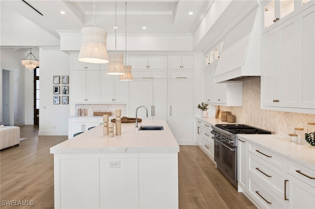 kitchen with light wood finished floors, custom range hood, high end stainless steel range oven, a tray ceiling, and a sink