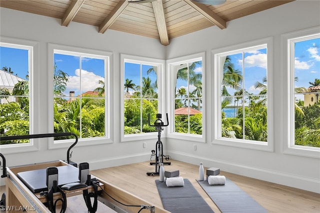 exercise area with hardwood / wood-style floors, lofted ceiling, a healthy amount of sunlight, and wood ceiling