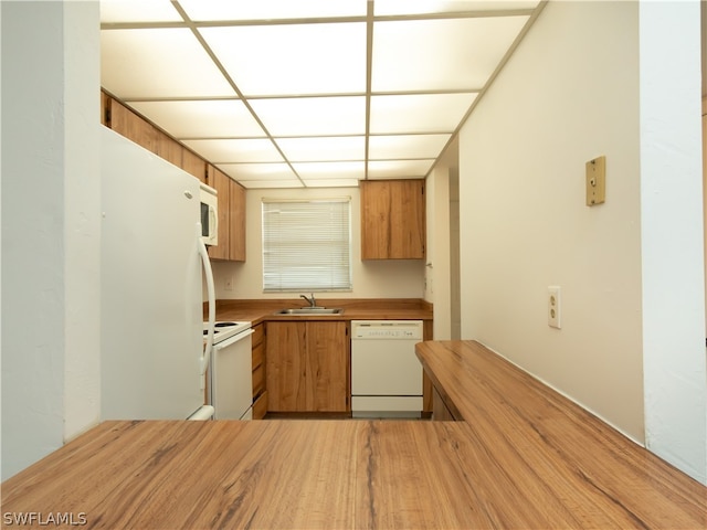 kitchen featuring white appliances, sink, and light hardwood / wood-style floors