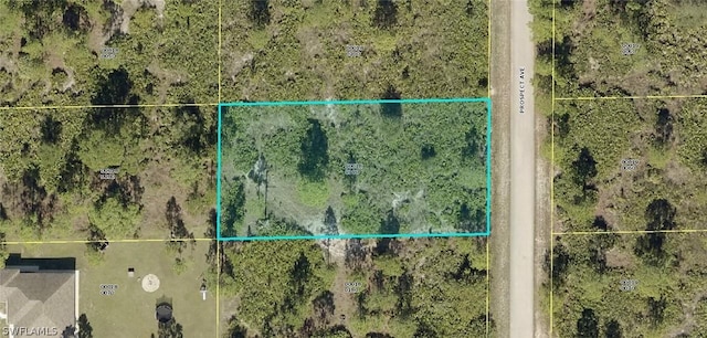 1313 Prospect Ave, Lehigh Acres FL, 33972 land for sale