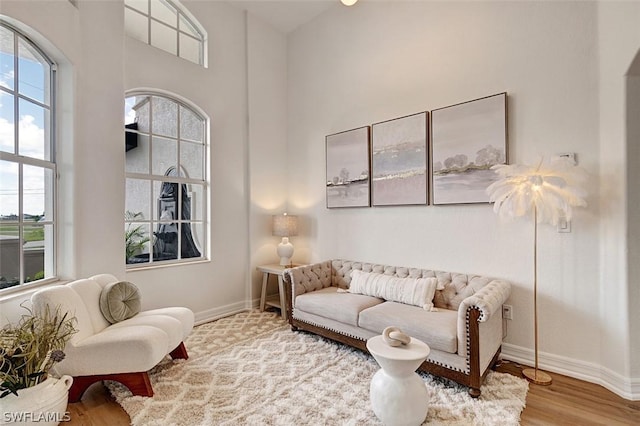 living room featuring a towering ceiling and hardwood / wood-style flooring