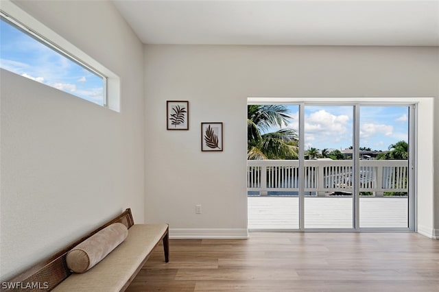 unfurnished room featuring a wealth of natural light and light hardwood / wood-style flooring