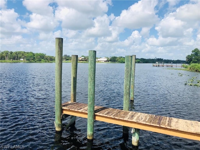 dock area with a water view