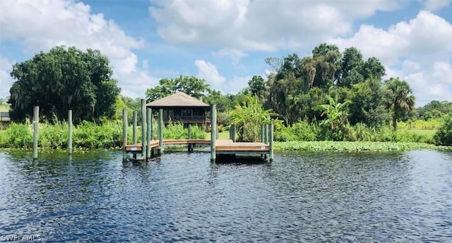 dock area with a water view