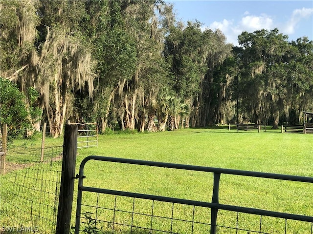 view of home's community featuring a yard