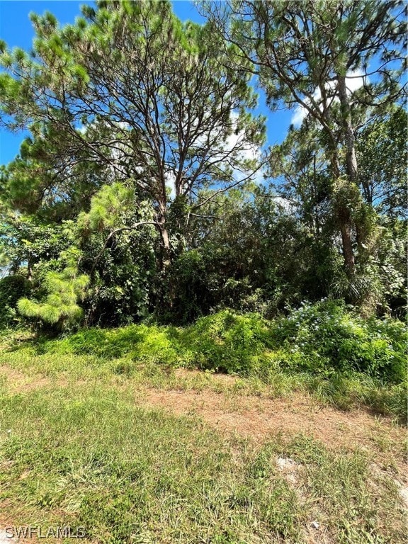 216ANDERSONSTNE, Lake Placid FL, 33852 land for sale