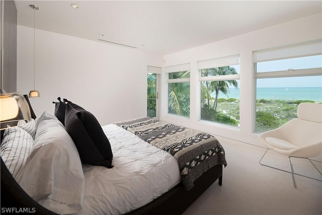 bedroom with a water view