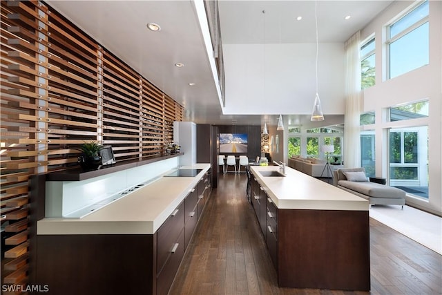 kitchen featuring a healthy amount of sunlight, sink, an island with sink, dark brown cabinetry, and dark hardwood / wood-style flooring