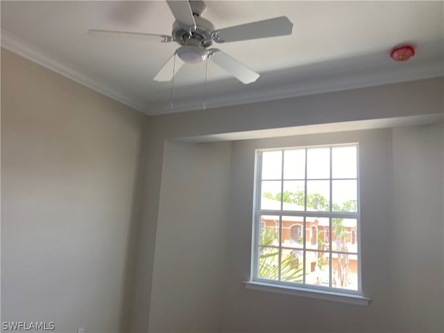 details featuring ceiling fan and crown molding