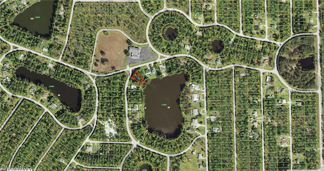 12142 Pontoon Blvd, Punta Gorda FL, 33955 land for sale