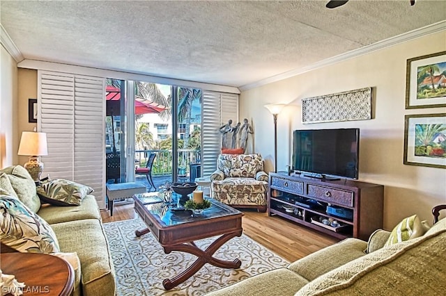 living room with ornamental molding, a textured ceiling, and light wood-type flooring