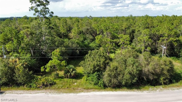 Listing photo 2 for B Rd, Labelle FL 33935