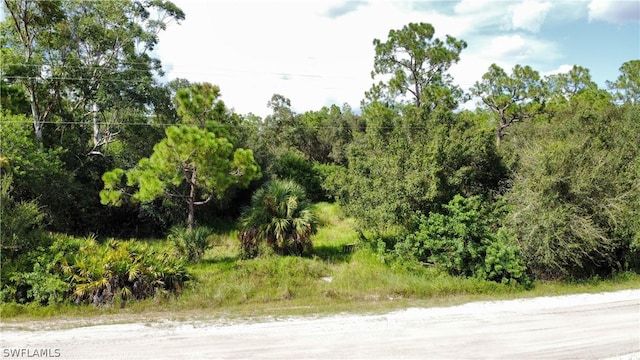 B Rd, Labelle FL, 33935 land for sale