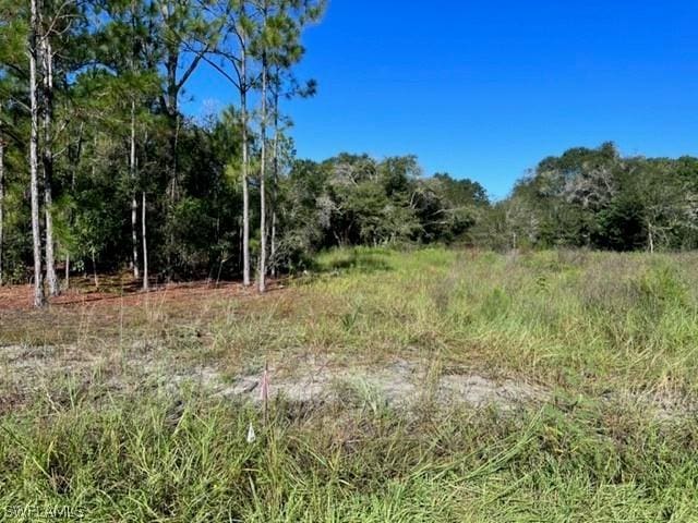 309 Johns Ave, Lehigh Acres FL, 33936 land for sale