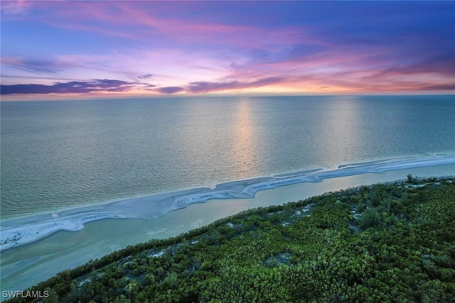 water view featuring a beach view