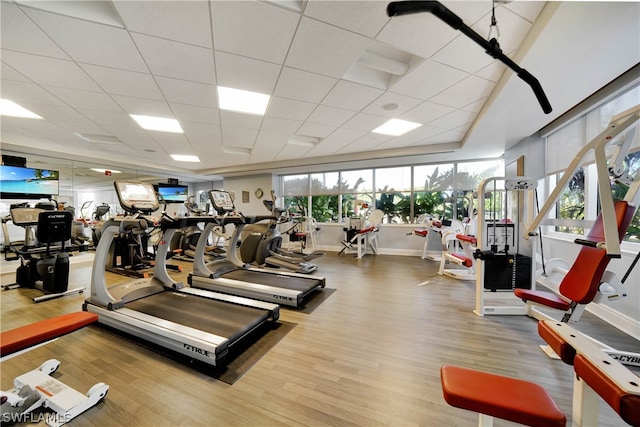 exercise room with wood finished floors and a paneled ceiling