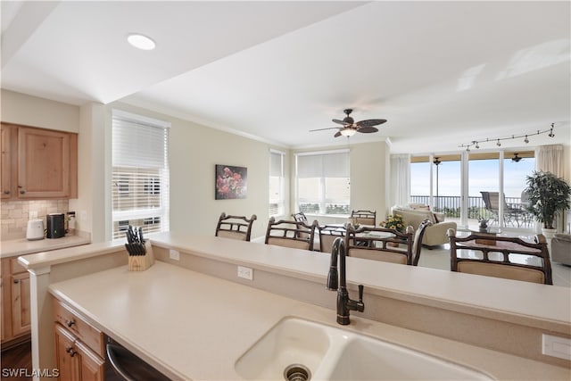 kitchen with track lighting, ceiling fan, tasteful backsplash, and sink