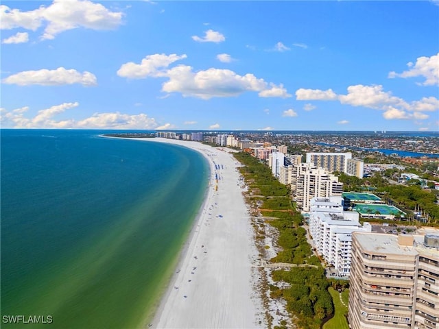 water view with a beach view