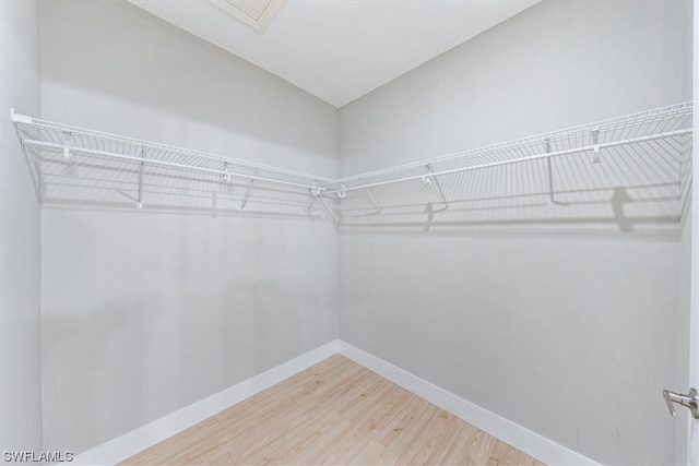 spacious closet with hardwood / wood-style flooring