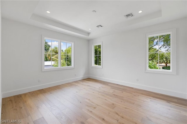 spare room with a tray ceiling, a wealth of natural light, and light wood-type flooring