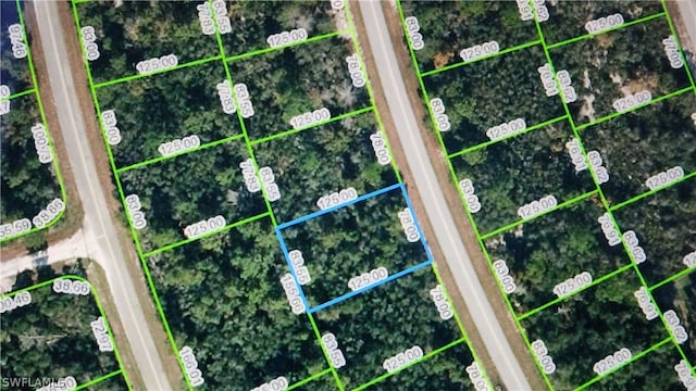 121 Fillmore Ave NE, Lake Placid FL, 33852 land for sale