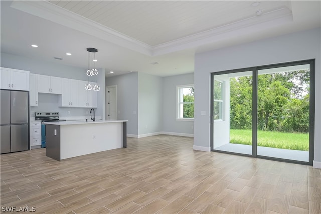 kitchen featuring white cabinets, appliances with stainless steel finishes, a tray ceiling, and an island with sink