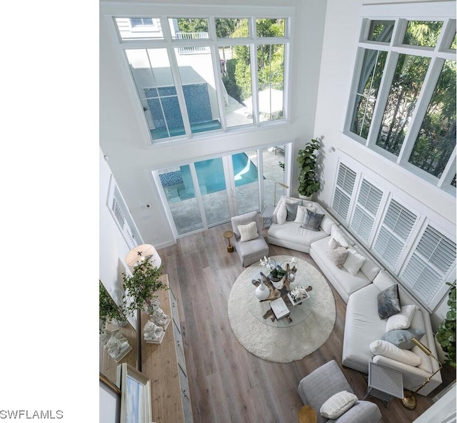 living room with a high ceiling and hardwood / wood-style flooring