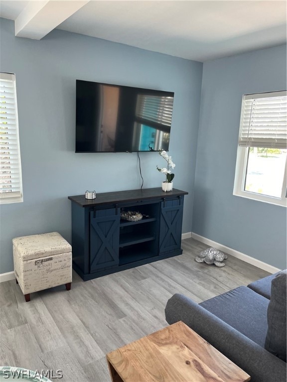 living room featuring light hardwood / wood-style floors