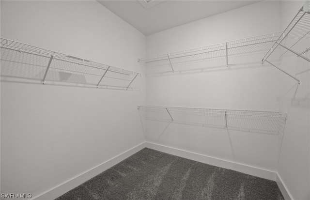 walk in closet with carpet flooring