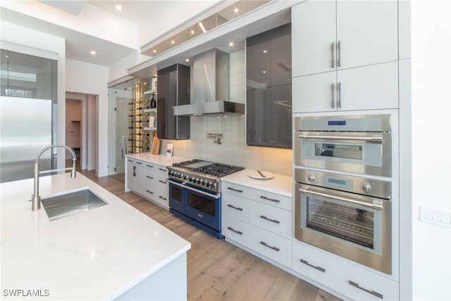 kitchen featuring sink, white cabinets, decorative backsplash, stainless steel appliances, and wall chimney exhaust hood
