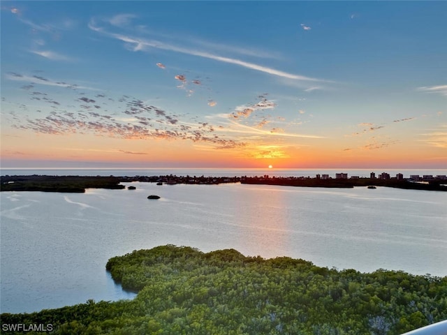 property view of water